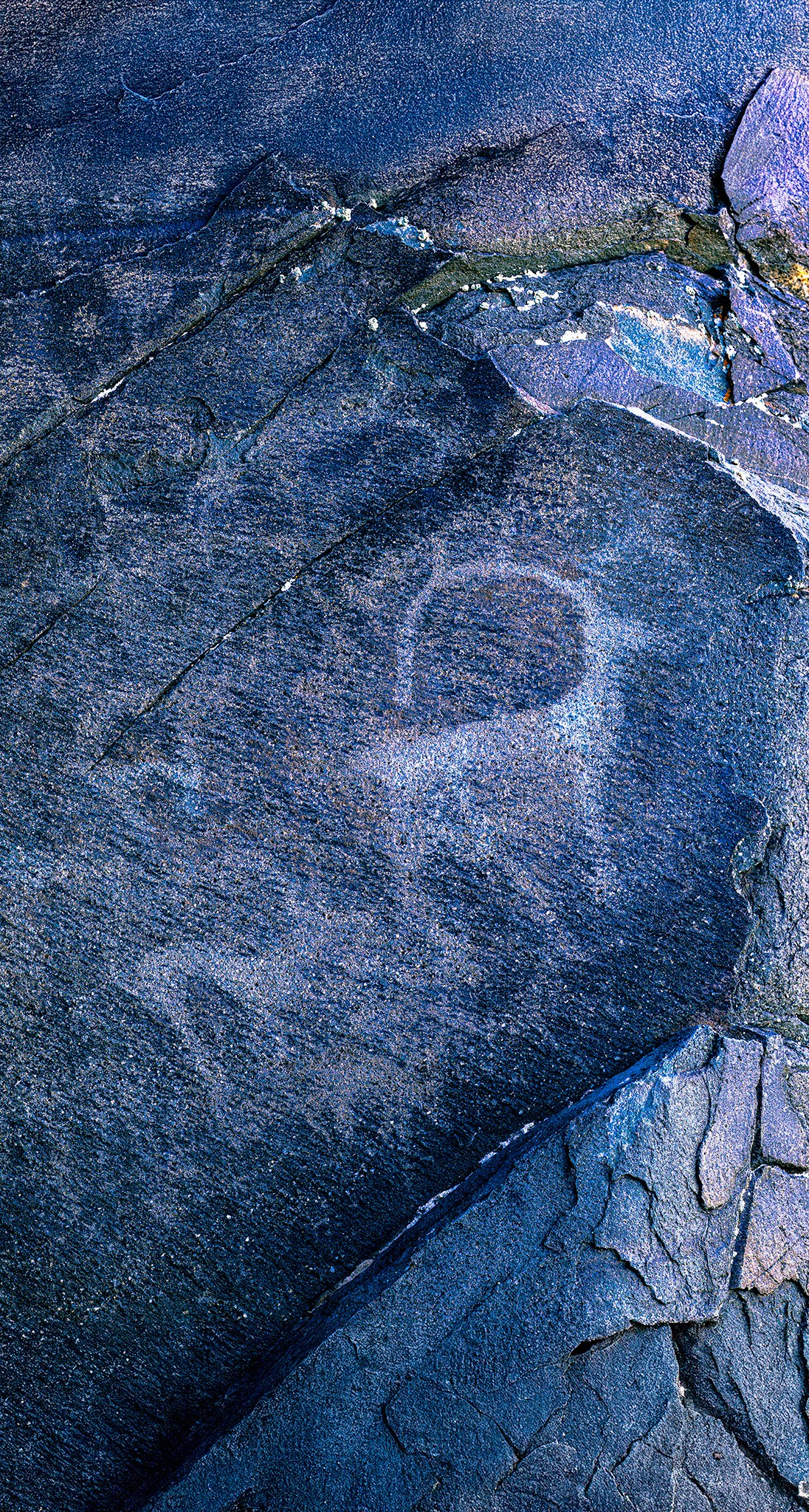 Смотритель. Картины о красоте, культурных ценностях и традициях Казахстана