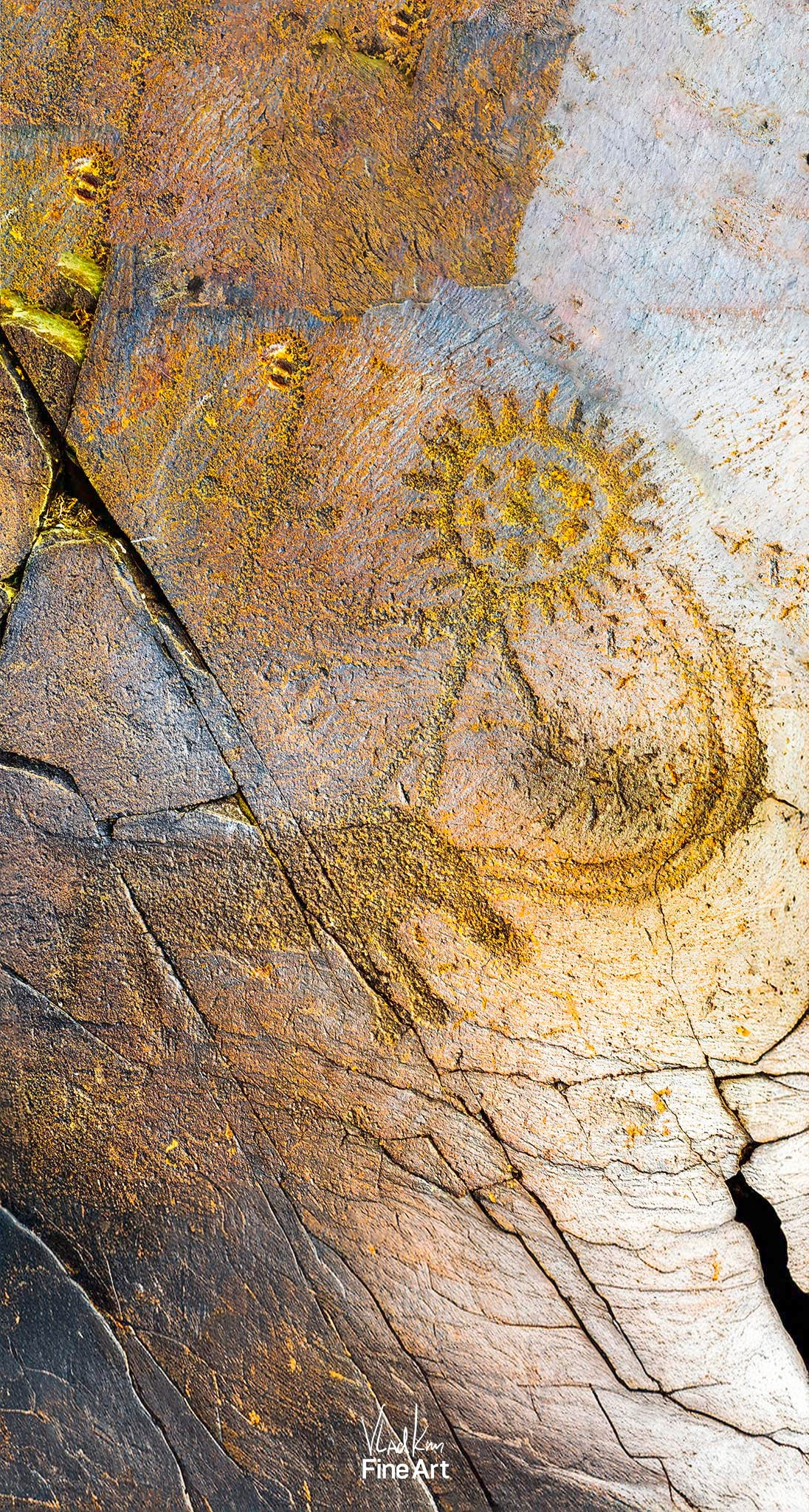 Солнцеголовый на быке. Картины о красоте, культурных ценностях и традициях Казахстана