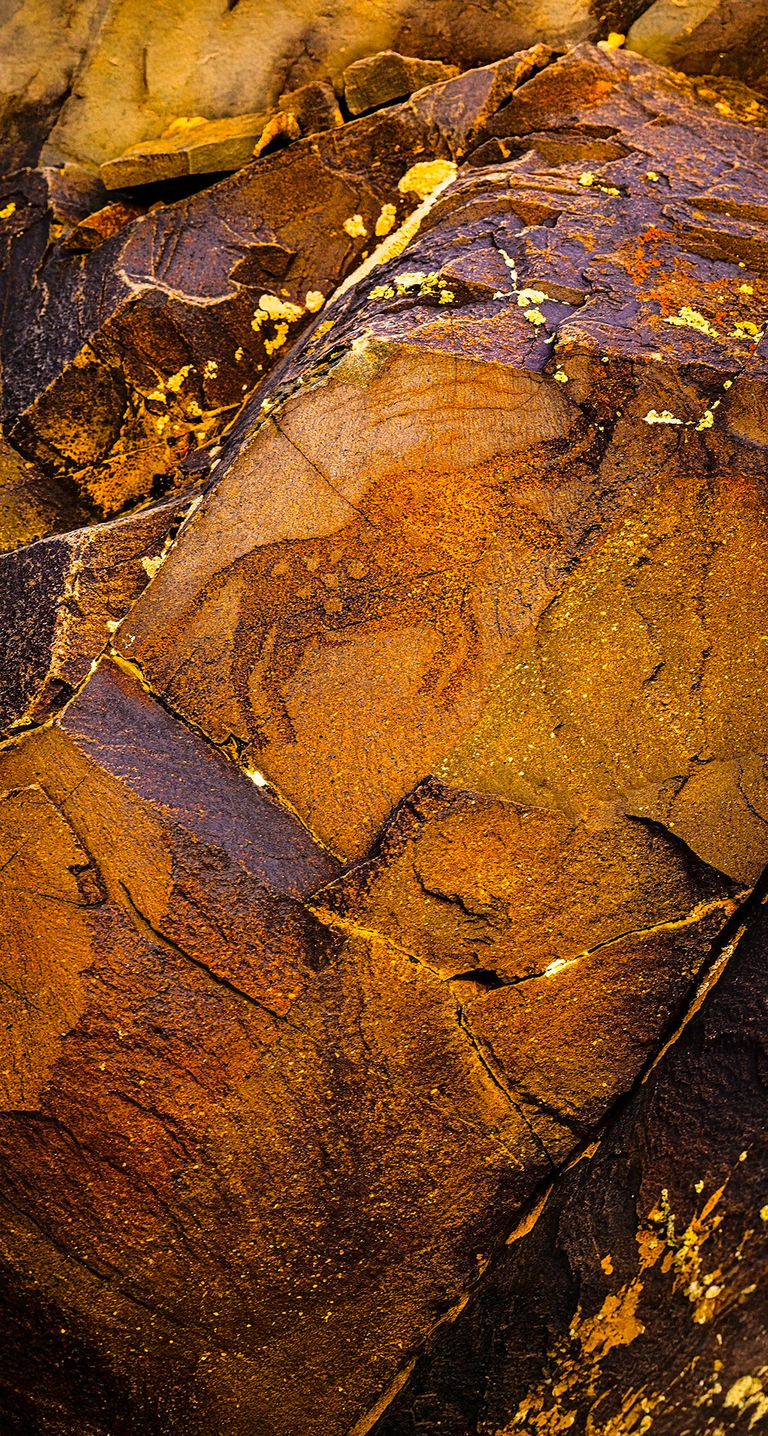 TANBALY ART SPACE. Картины о красоте, культурных ценностях и традициях Казахстана