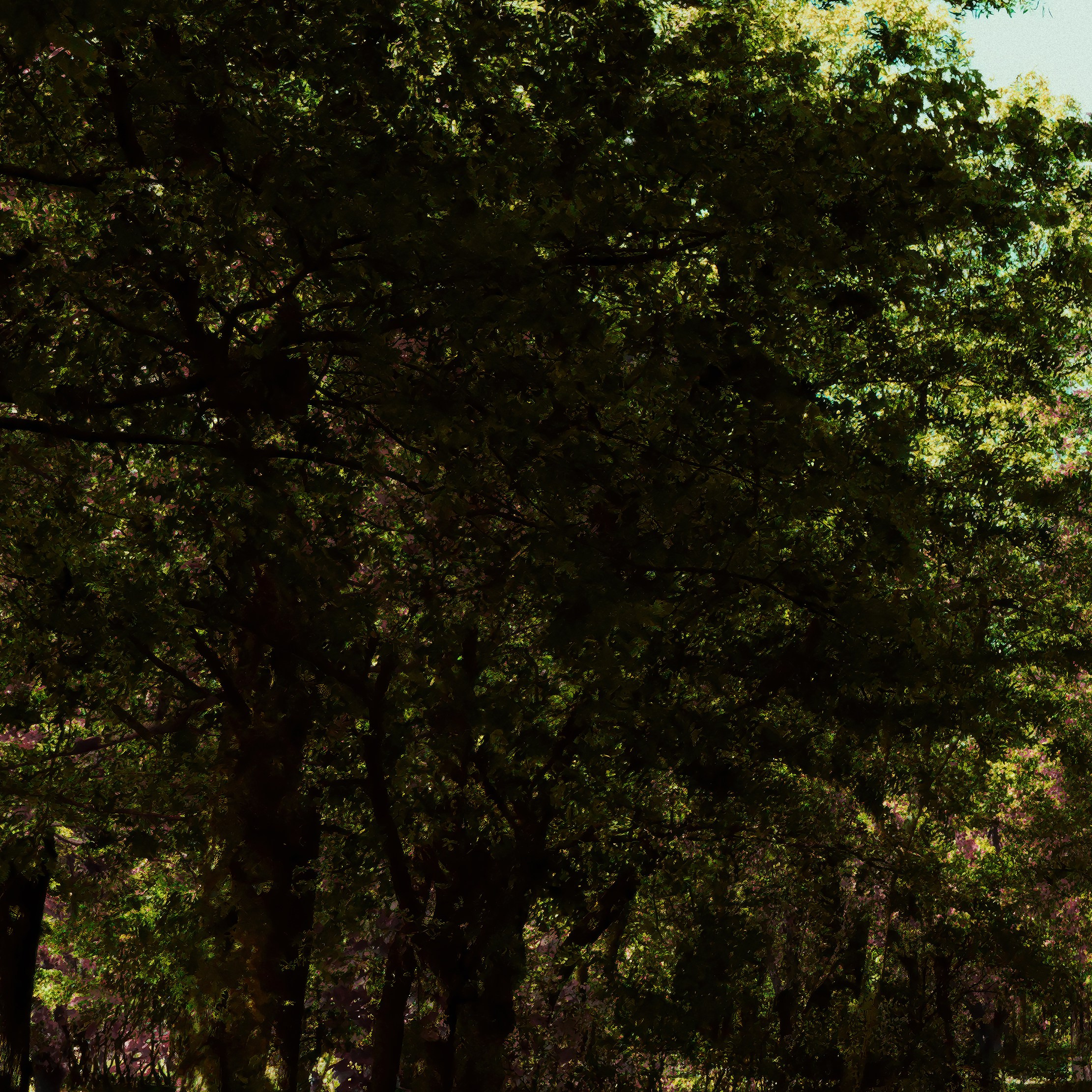 Глубина. Роман Ходырев — эзотериолог, художник, фотограф и музыкант. Санкт-Петербург, Рига