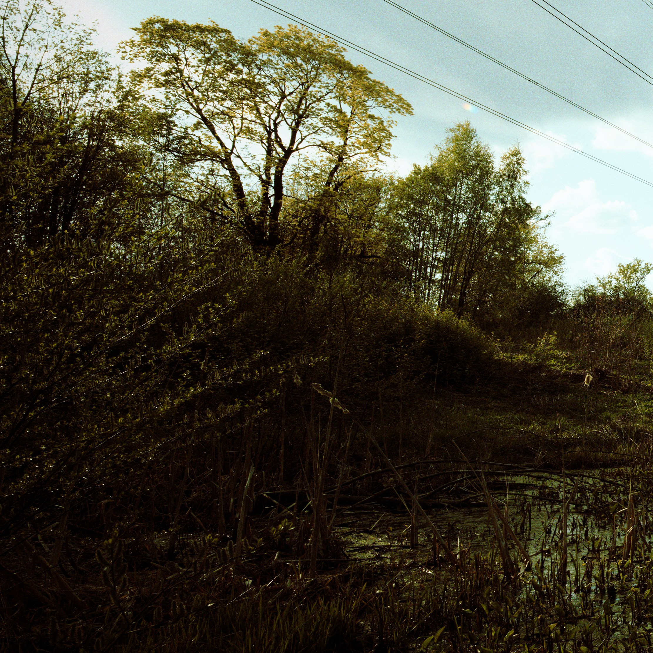 Тут могут водиться крокодилы. Roman Hodirev is an esoteriologist, multidisciplinary artist, photographer and musician. Saint Petersburg, Riga