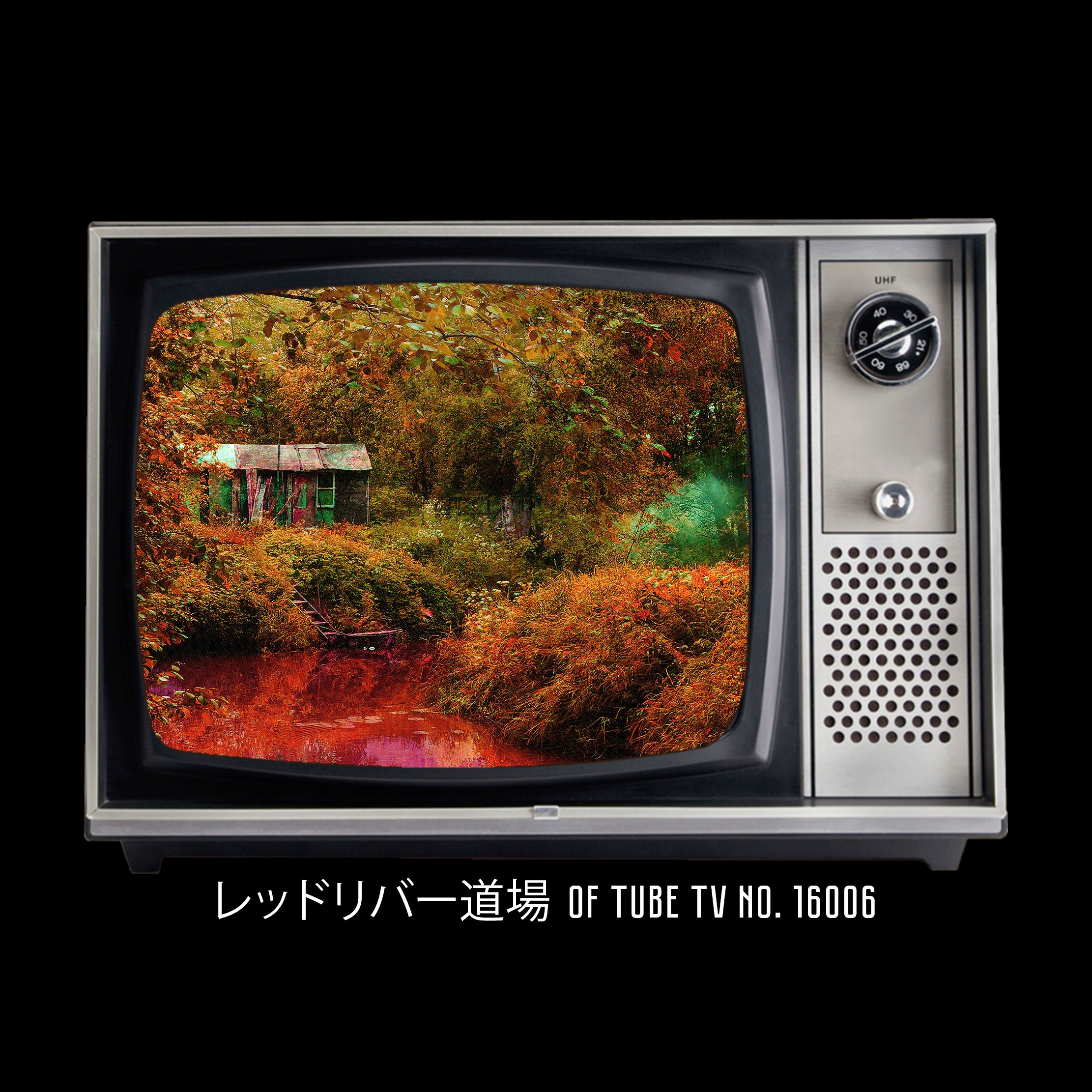 Додзё Красной Реки. Roman Hodirev is an esoteriologist, multidisciplinary artist, photographer and musician. Saint Petersburg, Riga