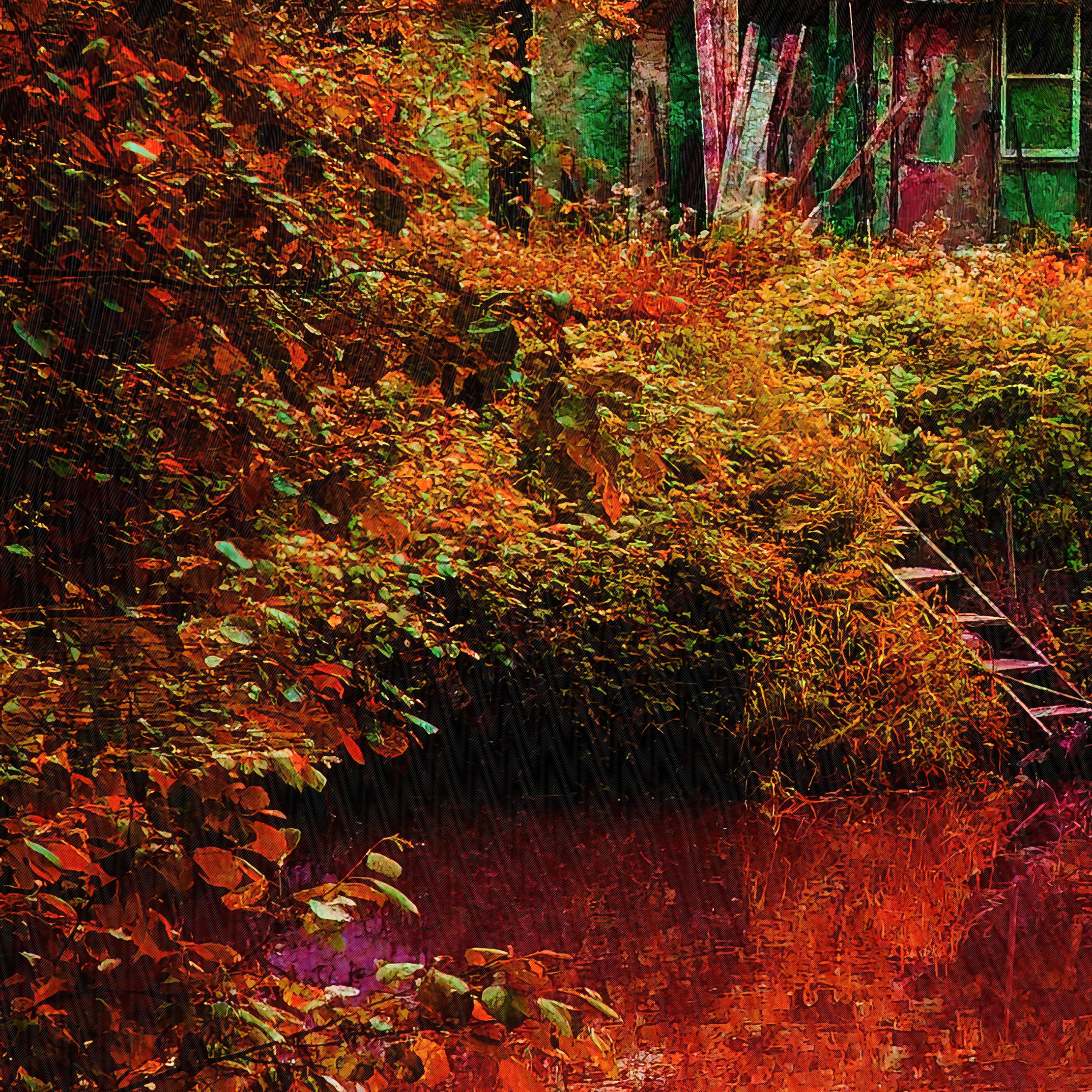 Додзё Красной Реки. Roman Hodirev is an esoteriologist, multidisciplinary artist, photographer and musician. Saint Petersburg, Riga