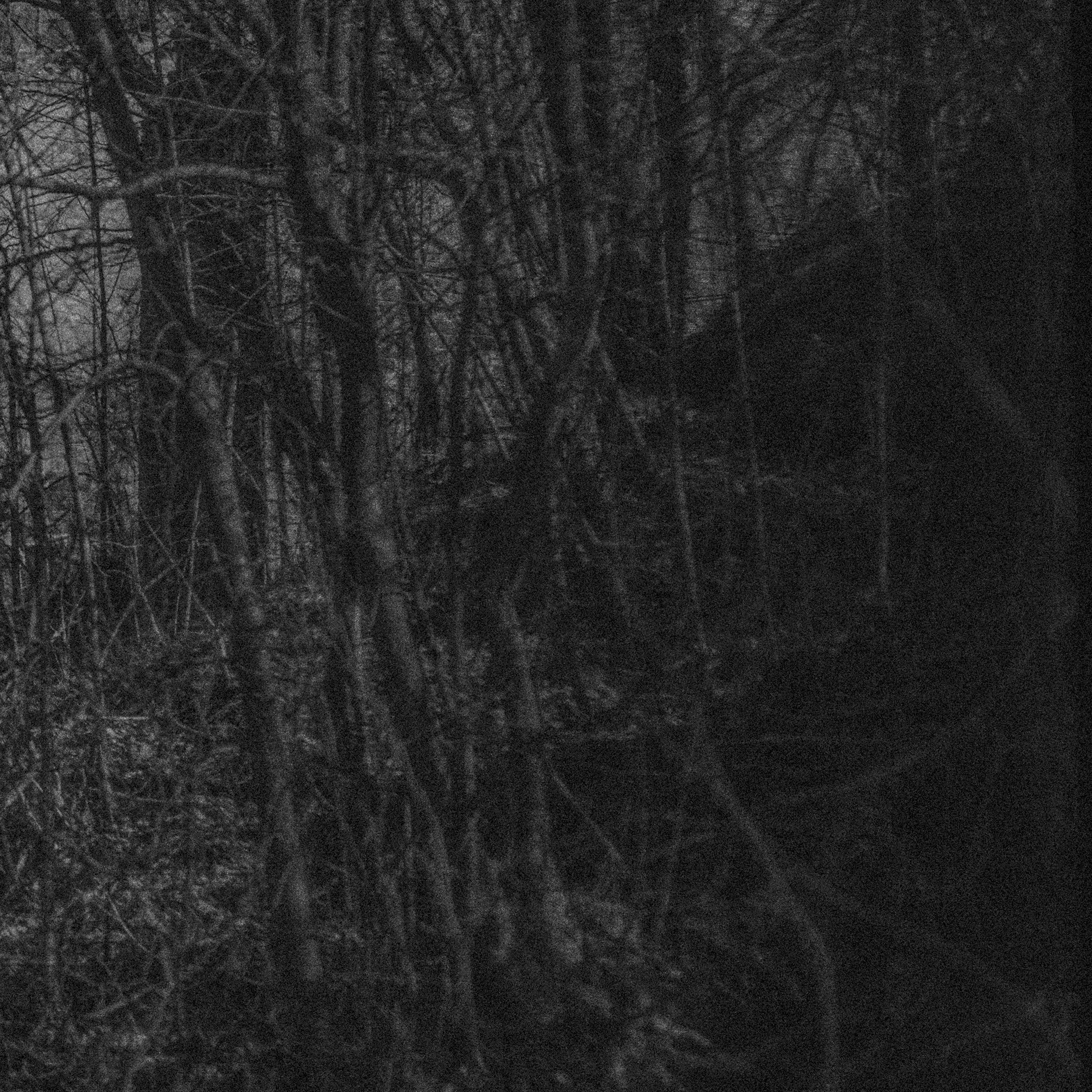 Весенняя Красногвардейская пастораль. Роман Ходырев — художник, фотограф, музыкант, эзотериолог. Санкт-Петербург, Рига