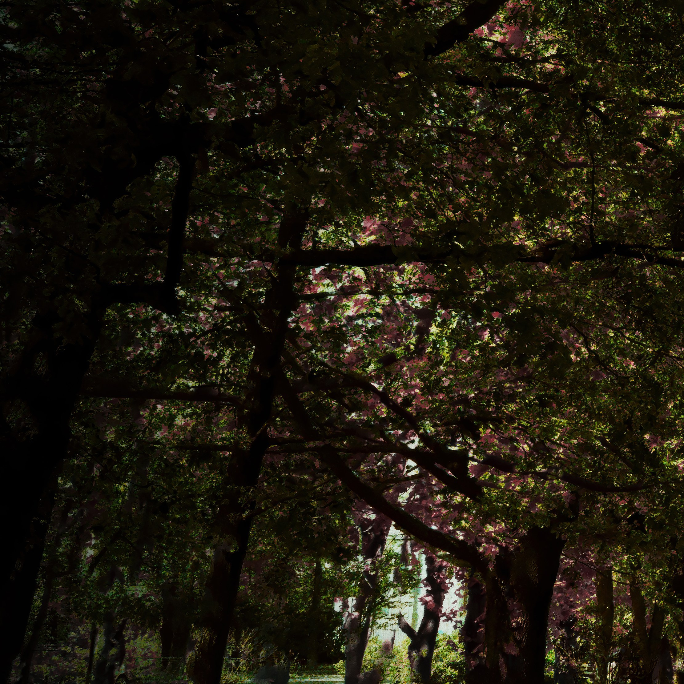 Глубина. Роман Ходырев — эзотериолог, художник, фотограф и музыкант. Санкт-Петербург, Рига