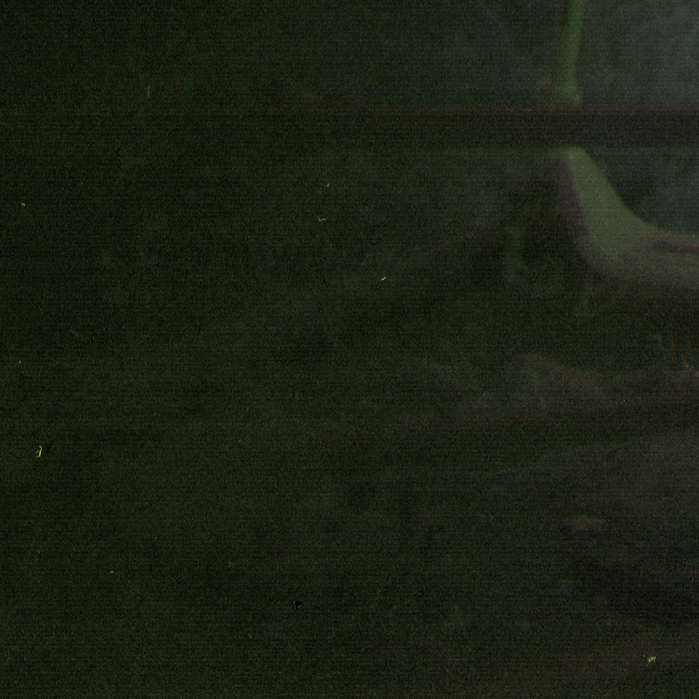 Мета-кони у Калинова моста. Роман Ходырев — эзотериолог, художник, фотограф и музыкант. Санкт-Петербург, Рига