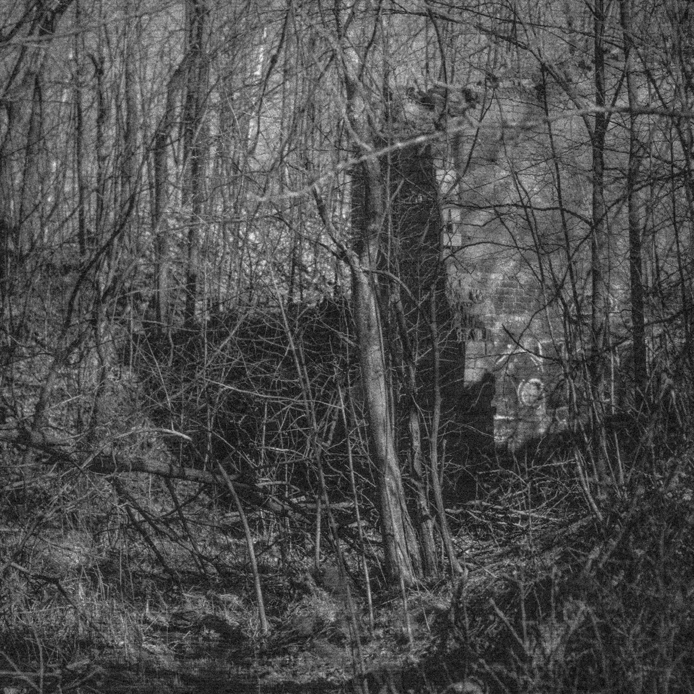 Весенняя Красногвардейская пастораль. Роман Ходырев — художник, фотограф, музыкант, эзотериолог. Санкт-Петербург, Рига