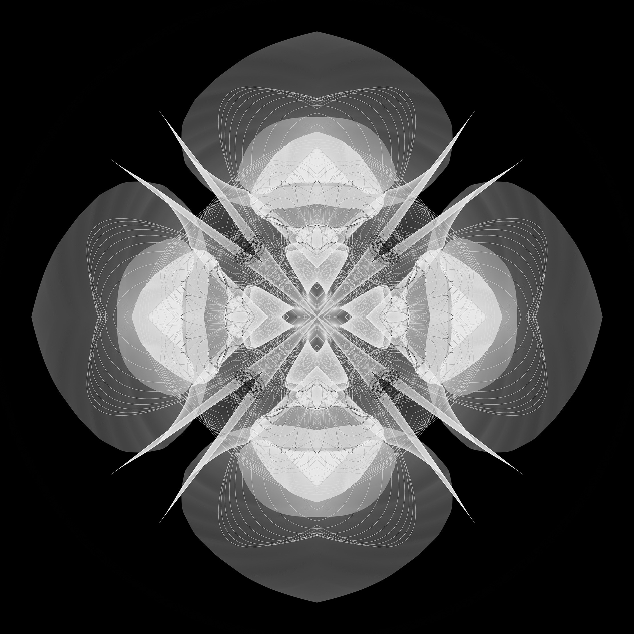 Цветение. Роман Ходырев — эзотериолог, художник, фотограф и музыкант. Санкт-Петербург, Рига