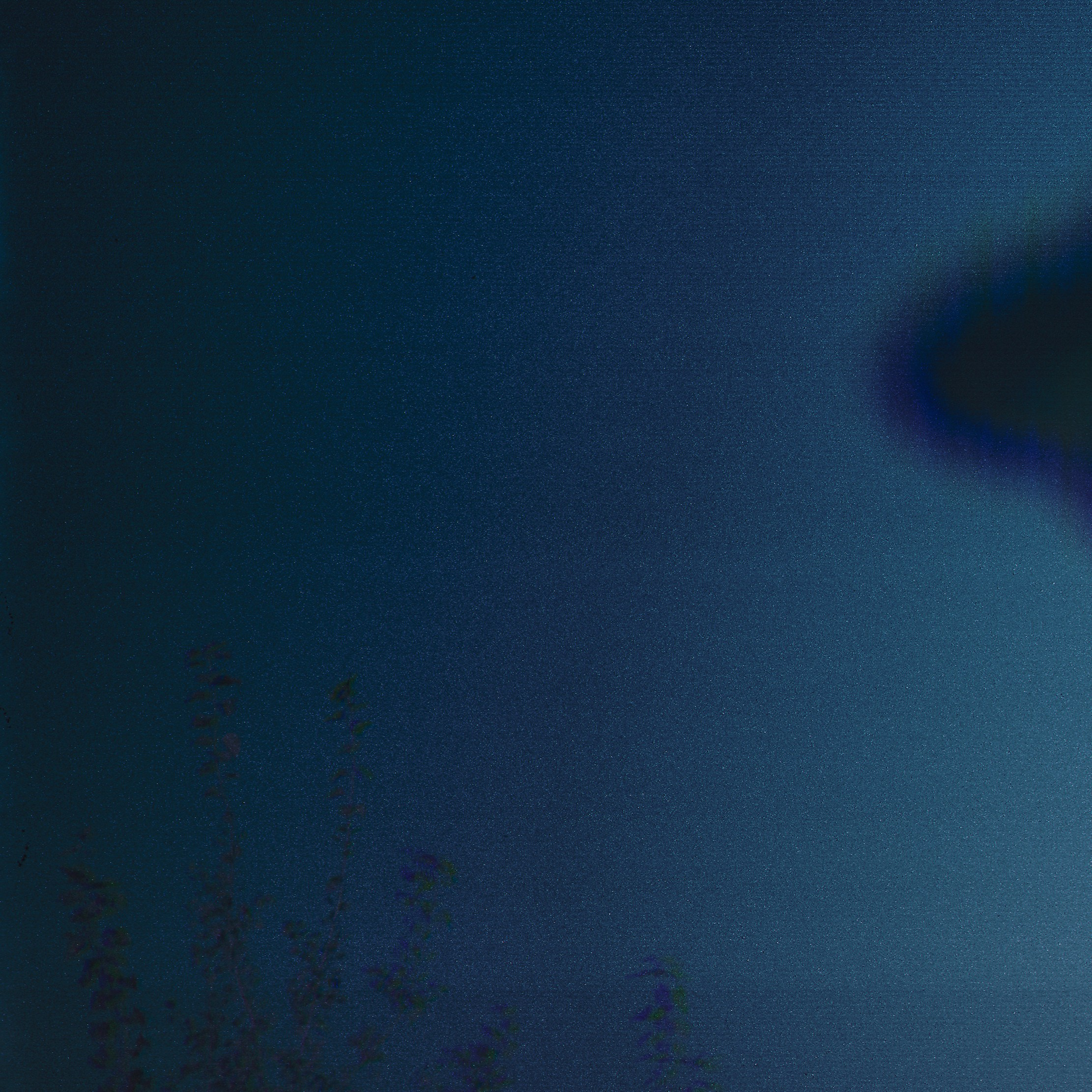 Контакт. Roman Hodirev is an esoteriologist, multidisciplinary artist, photographer and musician. Saint Petersburg, Riga