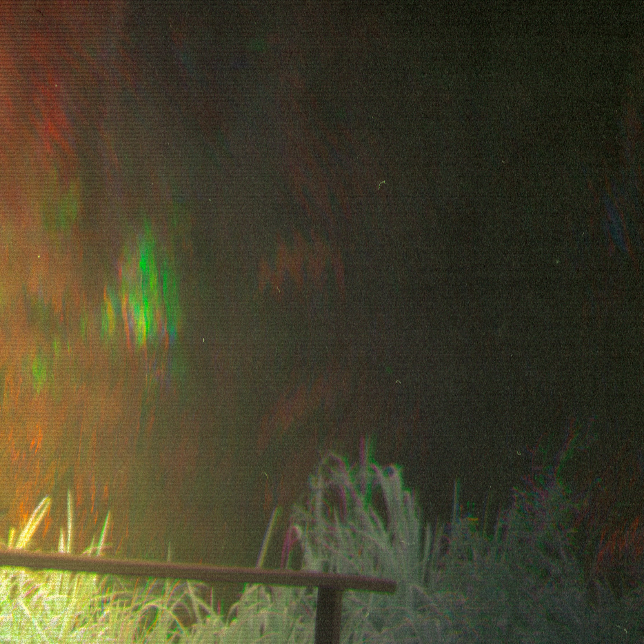 Мета-кони у Калинова моста. Роман Ходырев — эзотериолог, художник, фотограф и музыкант. Санкт-Петербург, Рига