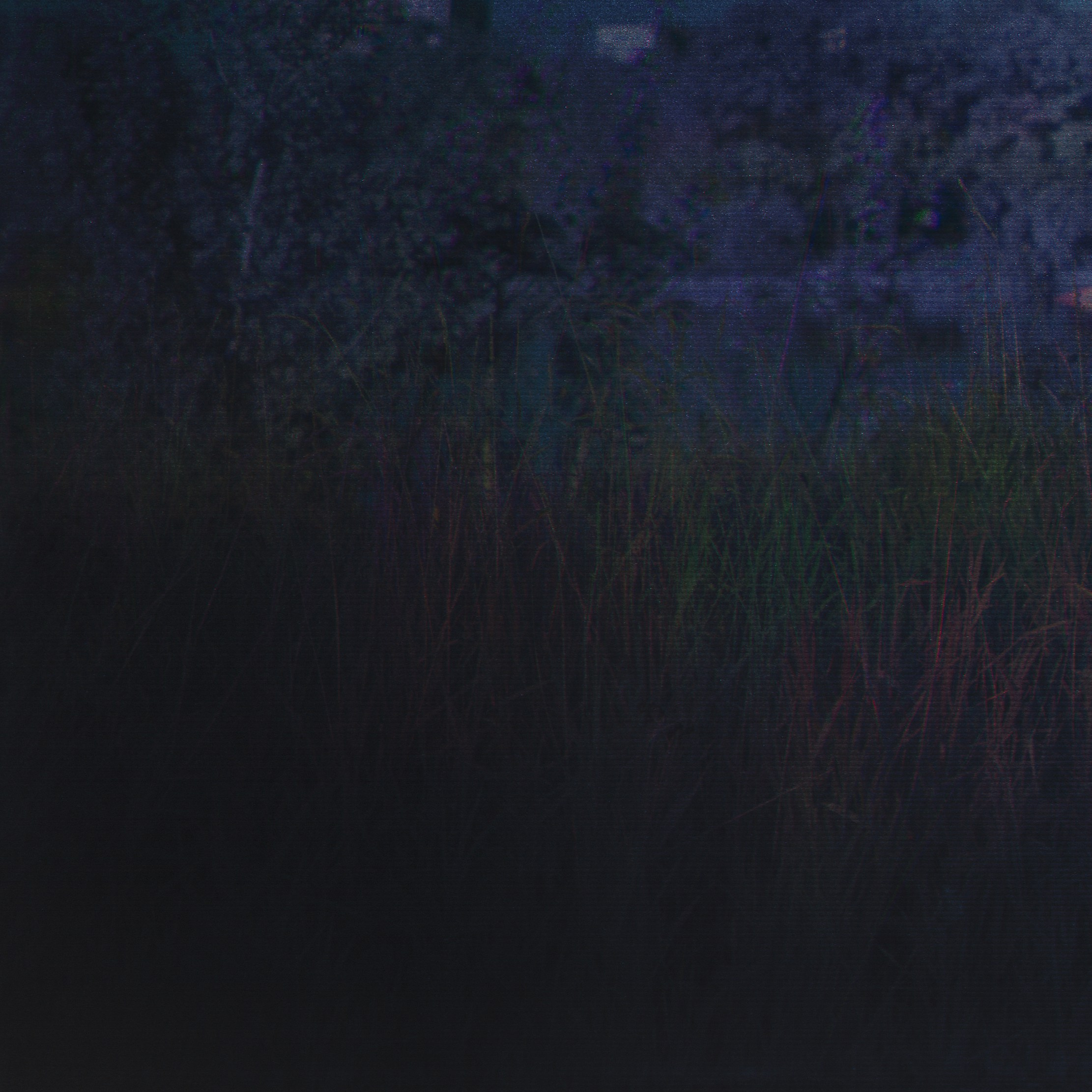 Контакт. Roman Hodirev is an esoteriologist, multidisciplinary artist, photographer and musician. Saint Petersburg, Riga