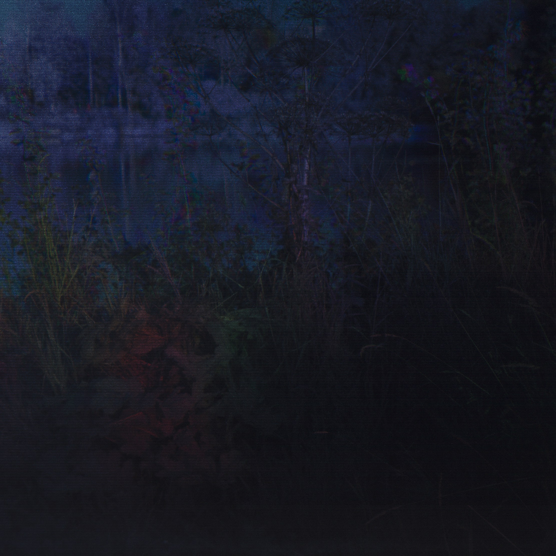 Контакт. Roman Hodirev is an esoteriologist, multidisciplinary artist, photographer and musician. Saint Petersburg, Riga