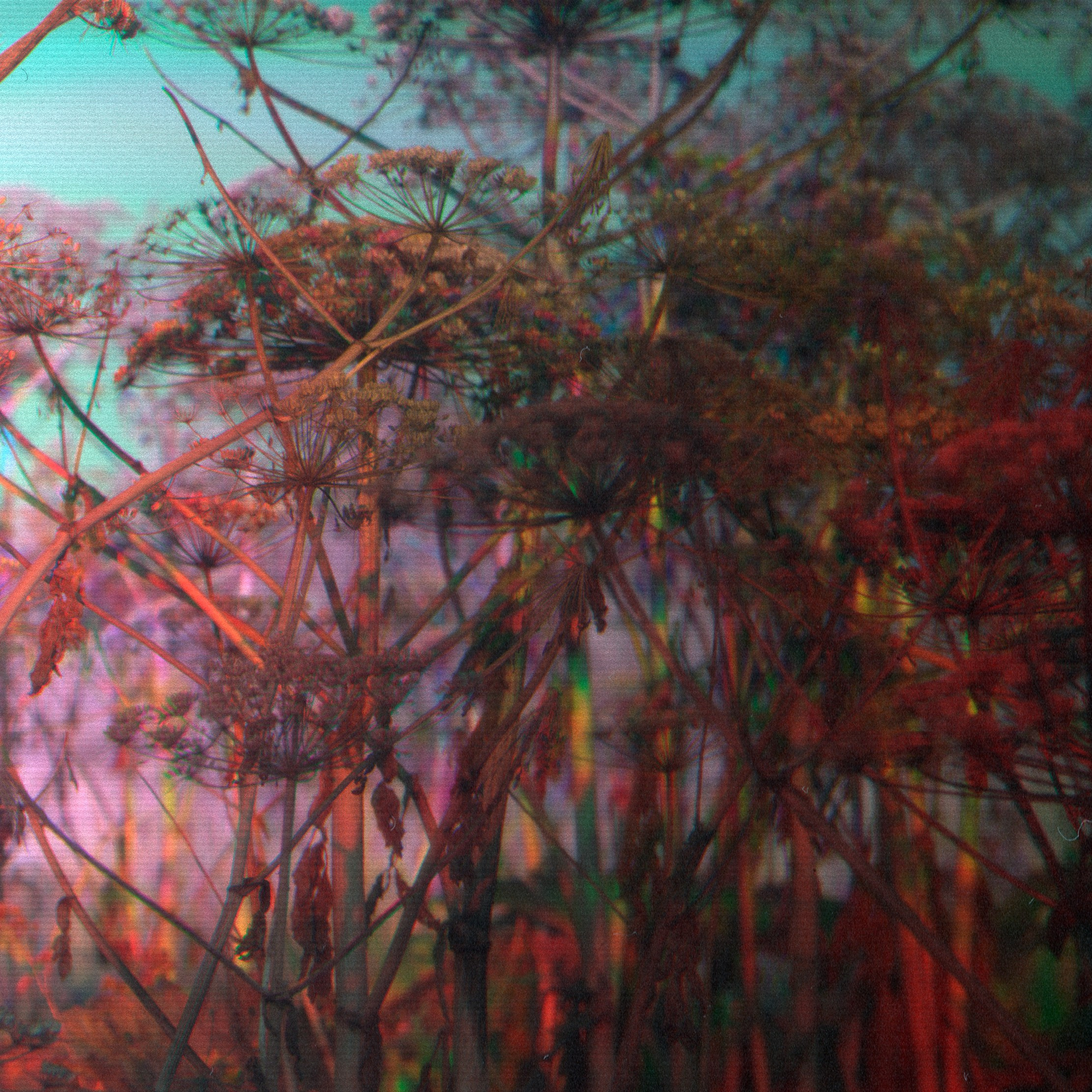 Фито-Войско (Борщевик). Roman Hodirev is an esoteriologist, multidisciplinary artist, photographer and musician. Saint Petersburg, Riga