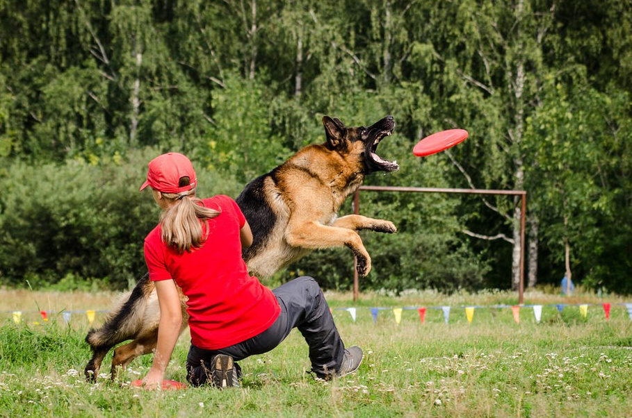 Обо мне. Фотограф-анималист Анастасия Большакова
