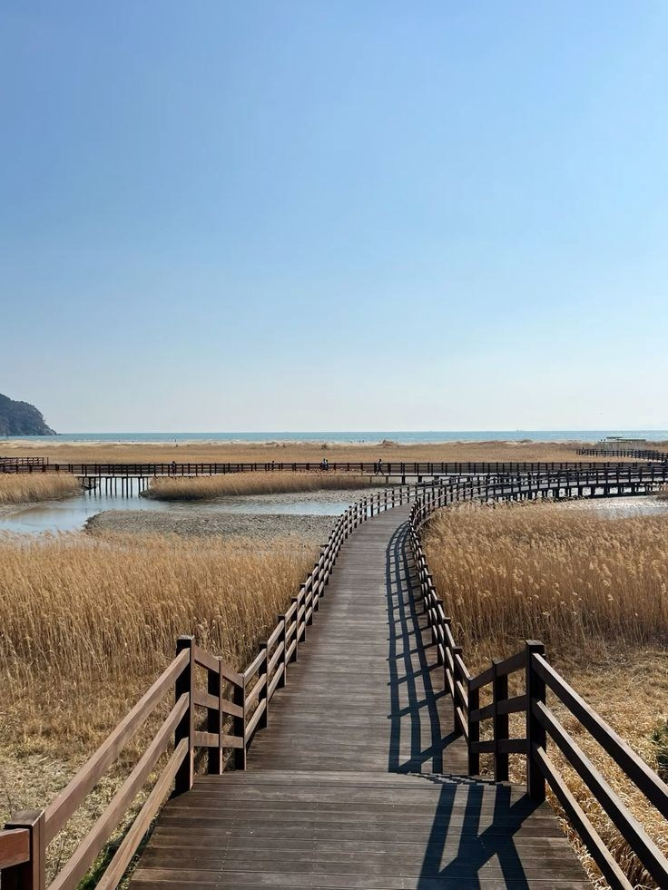 Wooden path through the reeds at Dadaepo, Busan — second location after Gamcheon · 부산 한복 스냅