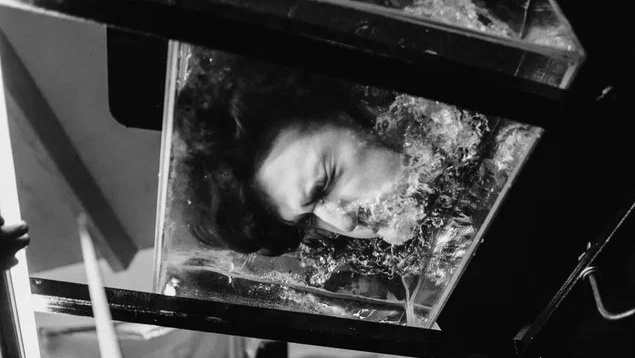 Прайс. Киностудия Lozinsky Films — The Point Is View