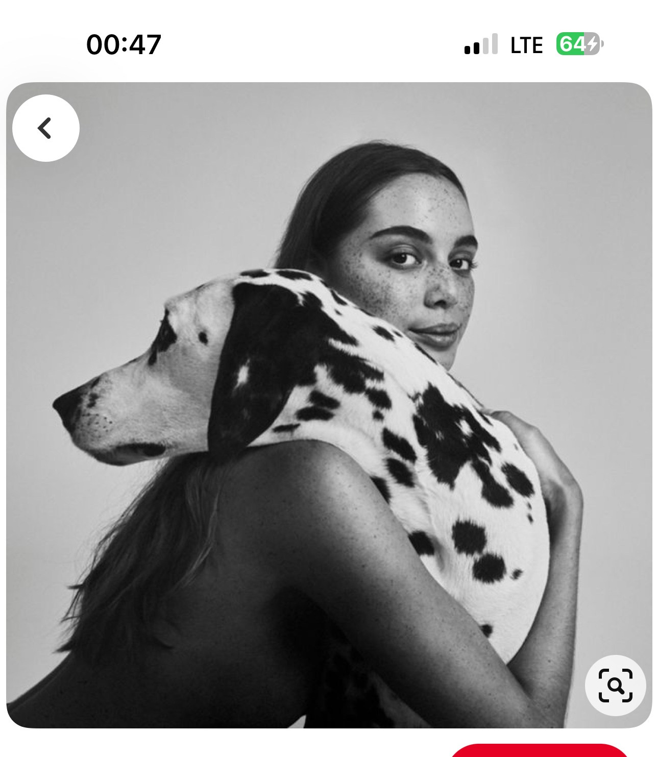 LA PULCHI СЪЕМКА С ЖИВОТНЫМИ КОНСУЛЬТАЦИЯ ПО ПОДГОТОВКЕ