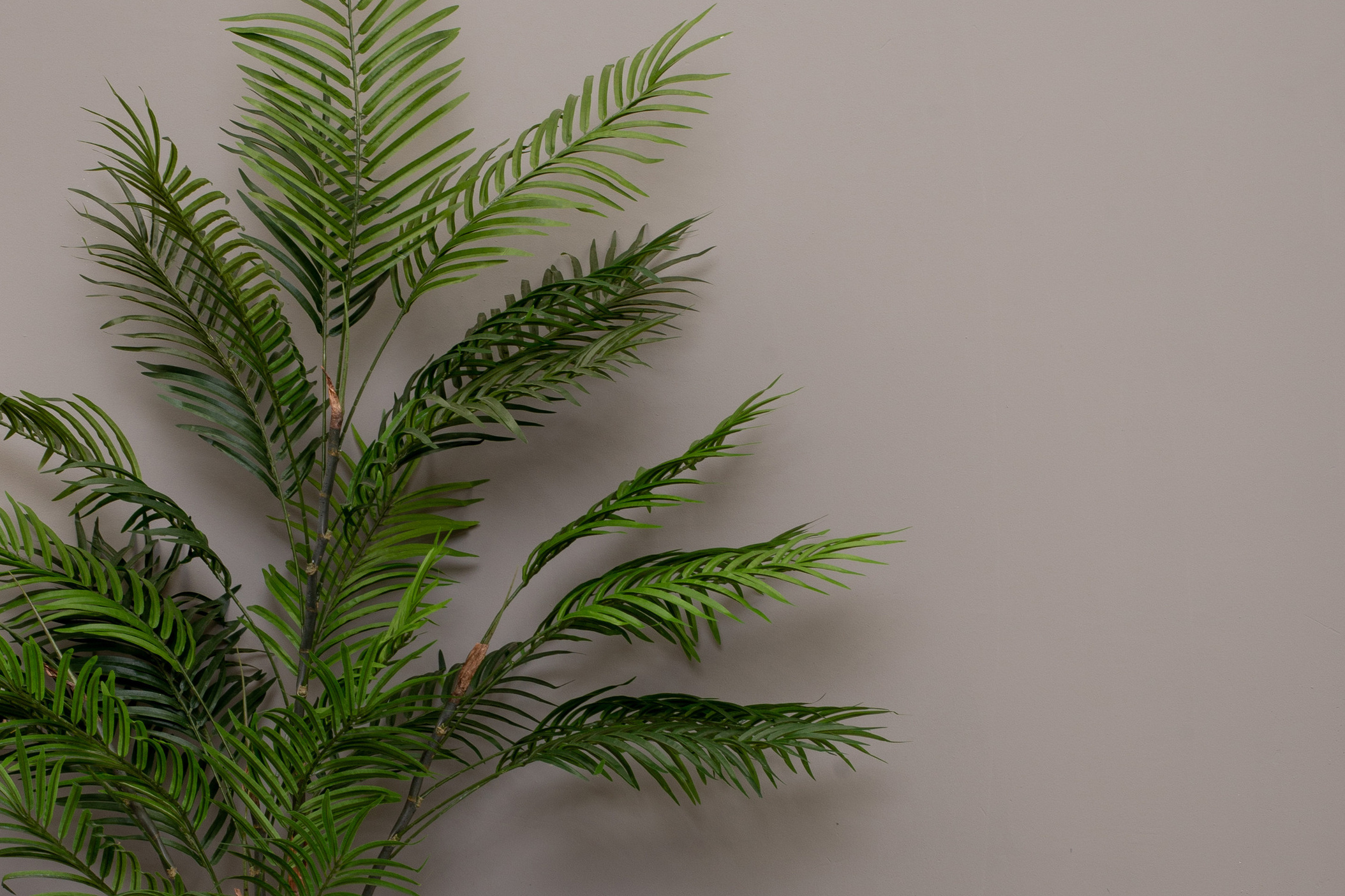 Главная. Фотостудия для маркетплейсов TM-lab