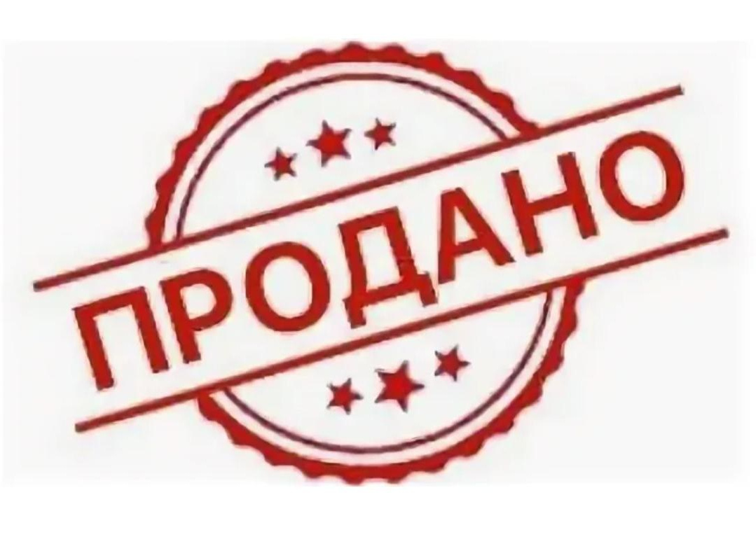 Щенки Американский булли. ПИТОМНИК СОБАК ПОРОДЫ АМЕРИКАНСКИЙ БУЛЛИ
