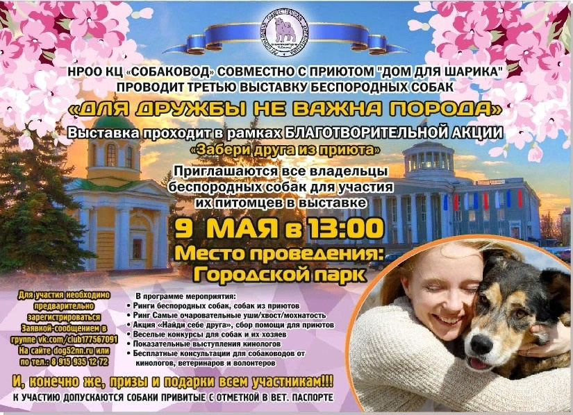 Третья выставка беспородных собак «Для дружбы не важна порода». НРОО КЦ "Собаковод"