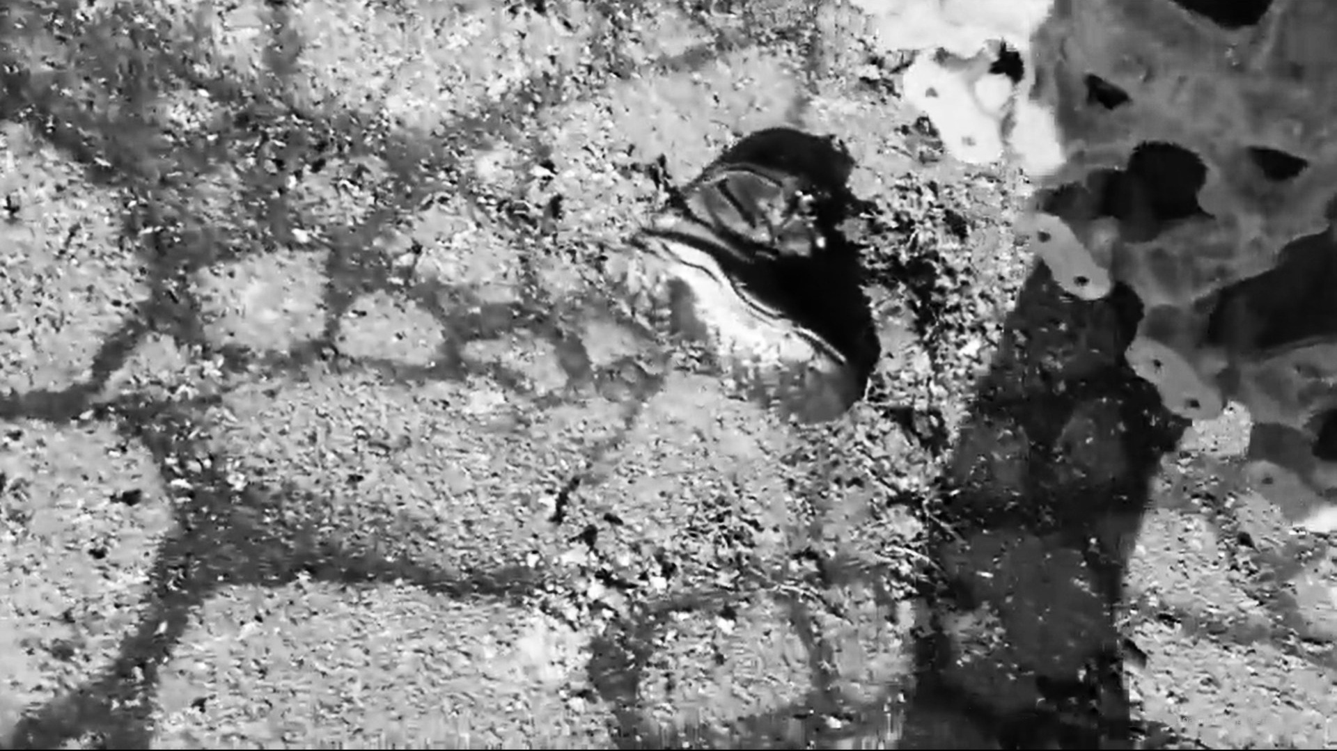 Без названия, 2022. Каати Пуолакайнен