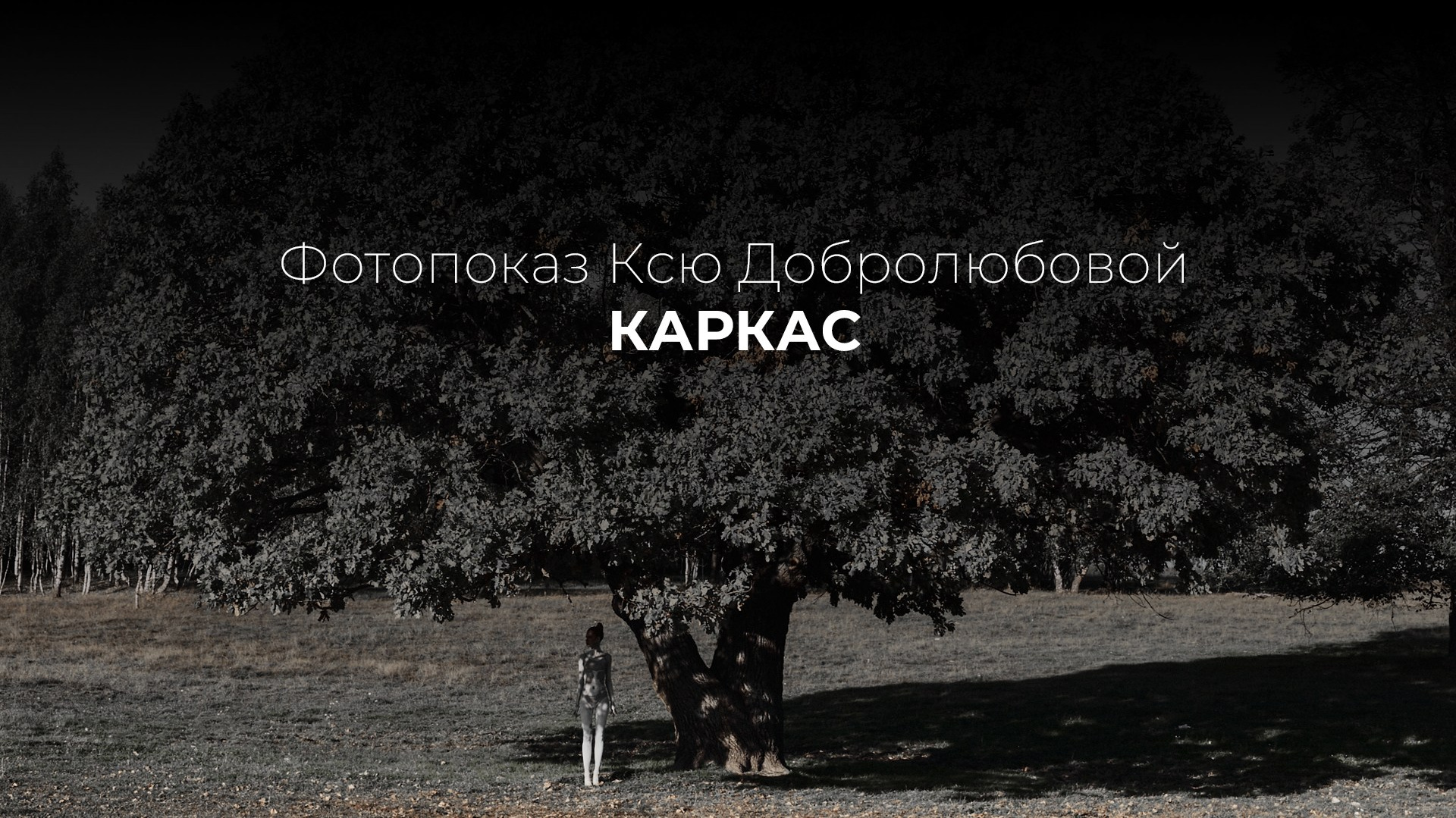 ART и CV. Фотограф для вашего контента Ксения Добролюбова
