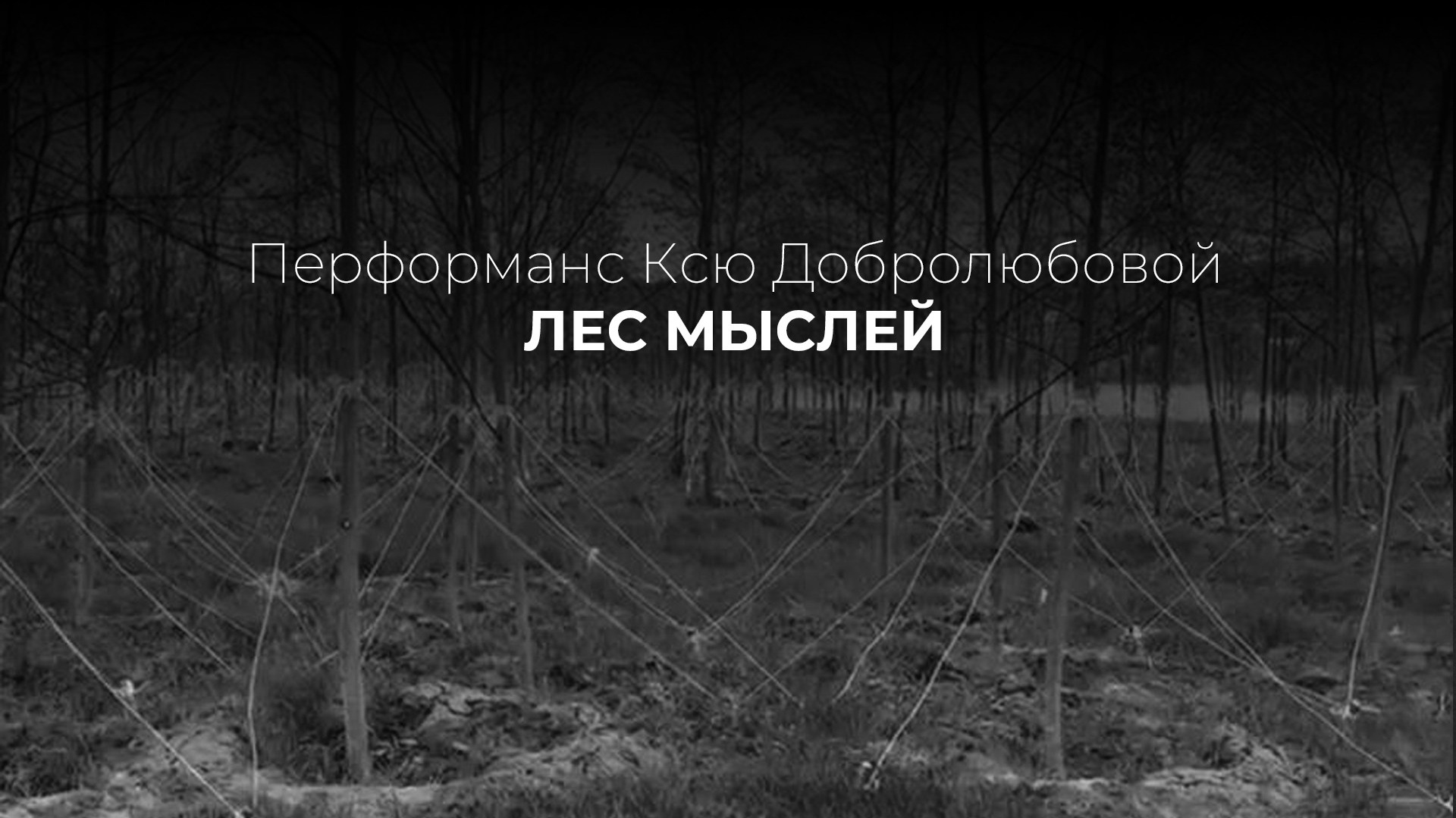 ART и CV. Фотограф для вашего контента Ксения Добролюбова