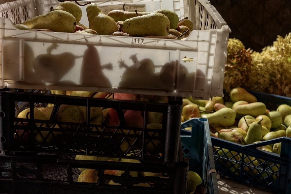 ФОТОсинтез. Могилевцева Дарья фотограф междисциплинарный художник