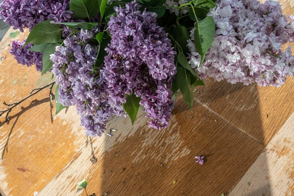 ФОТОсинтез. Могилевцева Дарья фотограф междисциплинарный художник