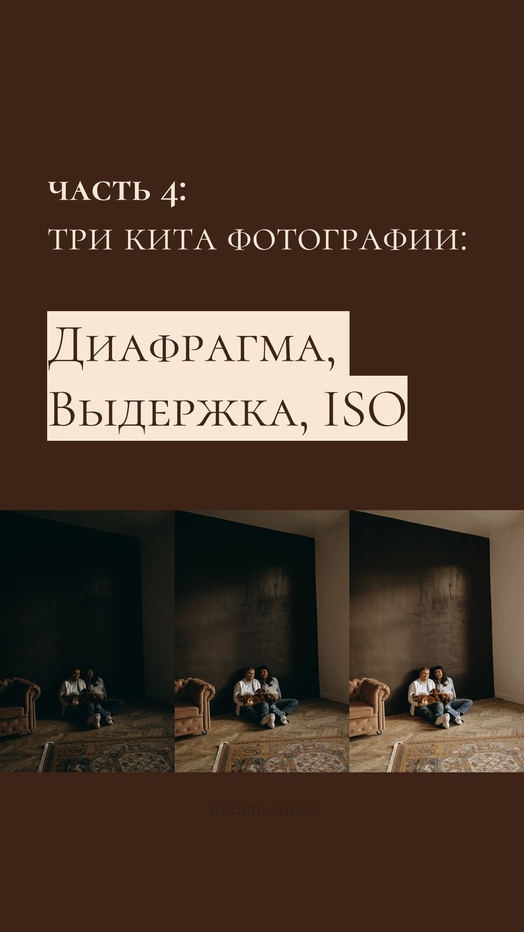 Камера с нуля. Фотограф — Анималист | Санкт-Петербург