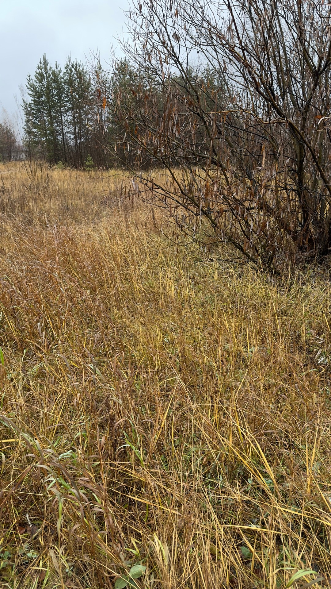 СВАДЕБНЫЙ ВЕЧЕР РЕКОМЕНДАЦИИ ПО ФОТОСЪЕМКЕ, ПОЗИРОВАНИЮ