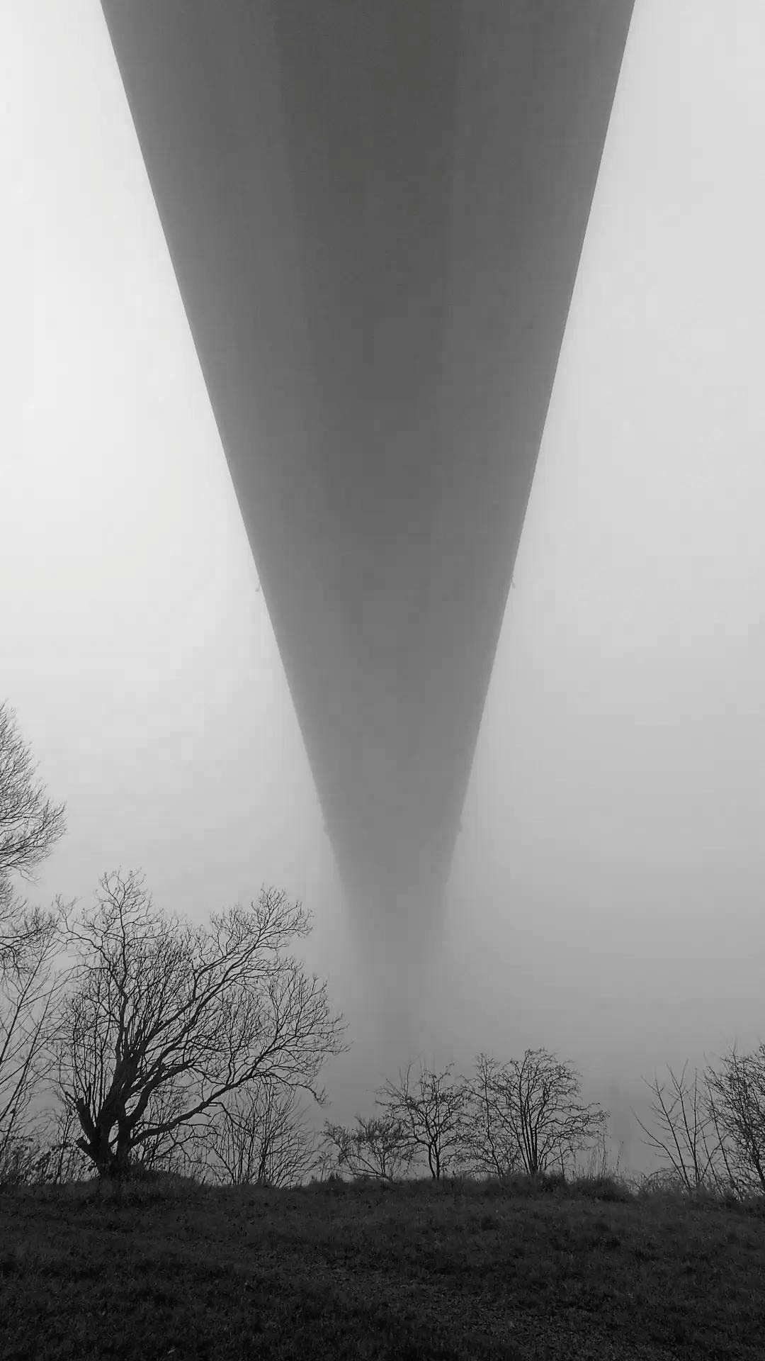 Устинов Глеб. Организация фотовыставок в Петербурге и Москве, MFamilia (МФамилия)