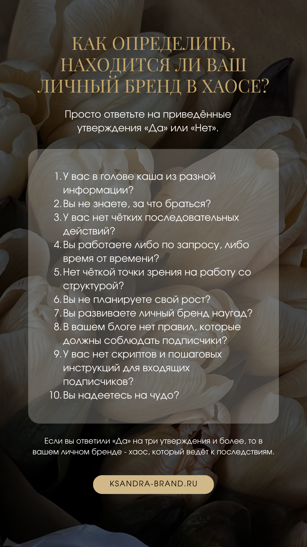 Хаос и система: как определить, находится ли ваш личный бренд в хаосе?