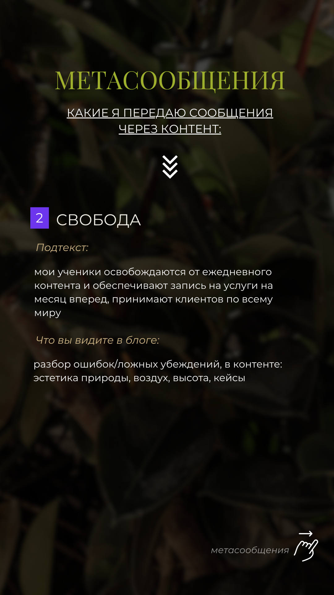 Разработка системы визуала бренда