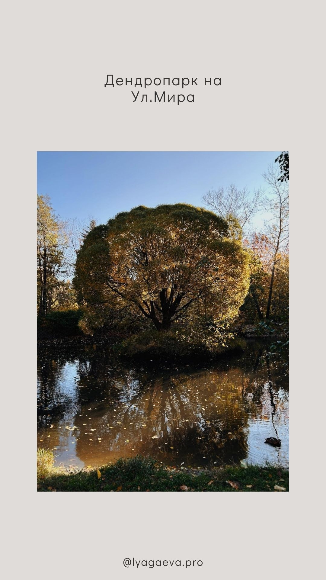 Лучшие локации Екатеринбурга для проведения фотосъемки. Семейный фотограф в Екатеринбурге и Красноуфимске Евгения Лягаева