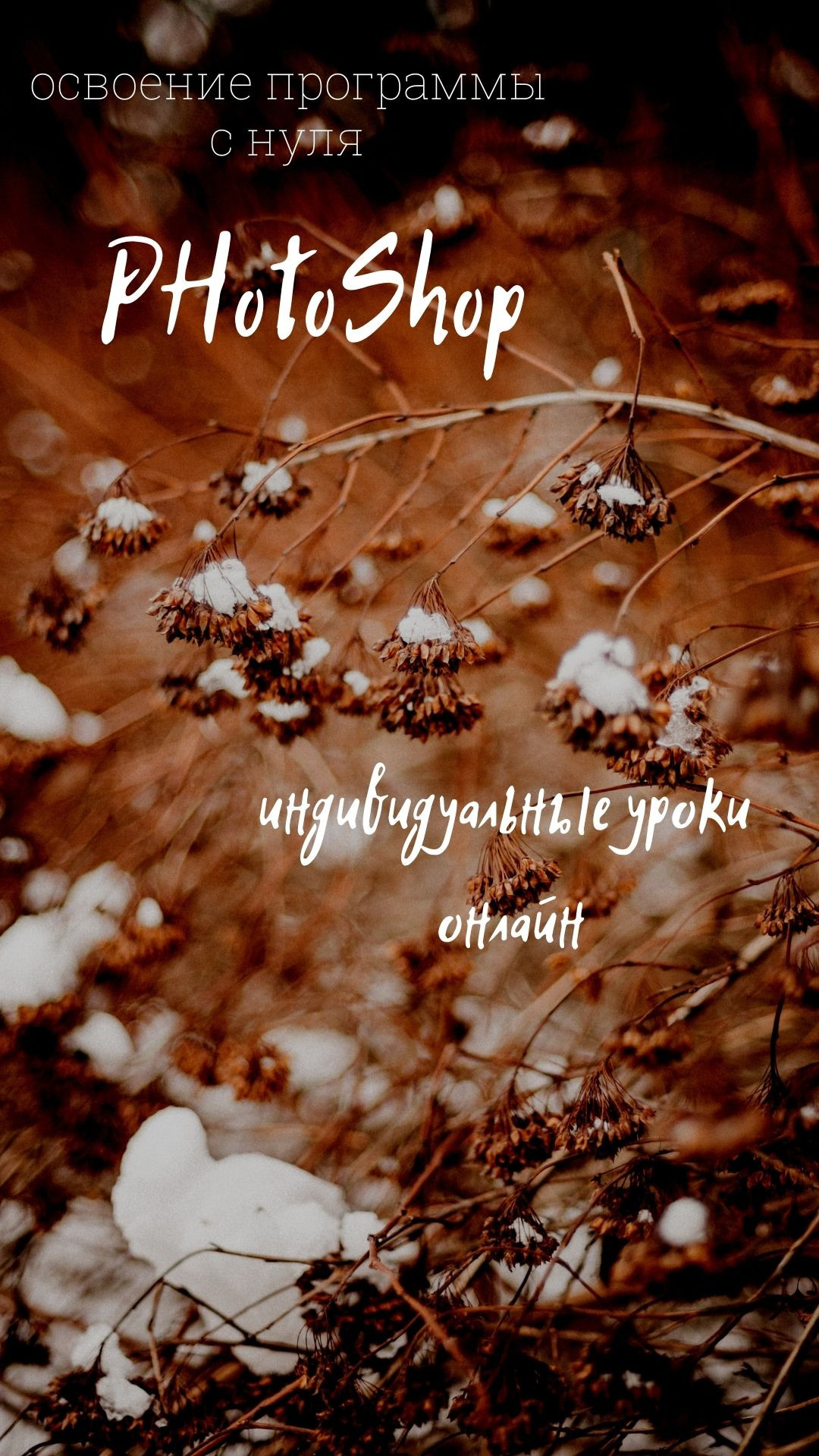 Обучение. Lifestyle Фотограф Анастасия Донюшкина