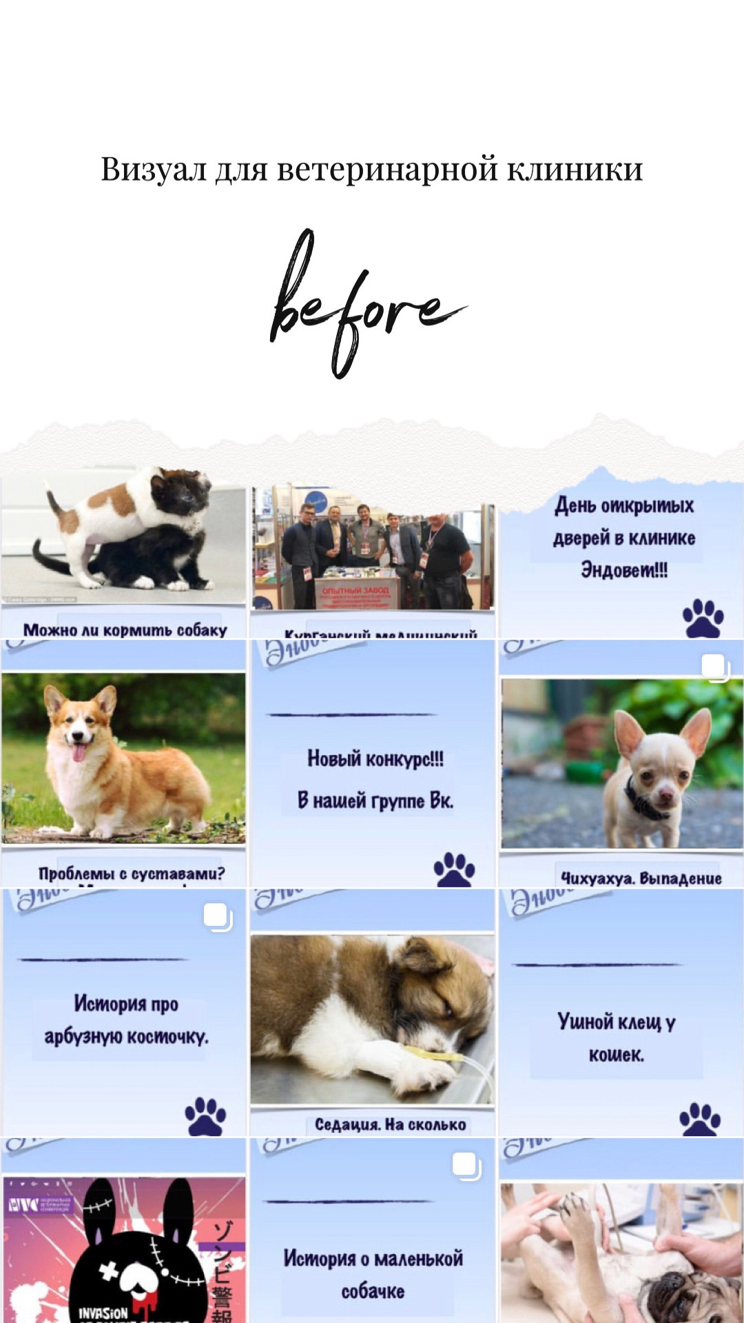 Визуал. Визуализатор | Контент-фотограф Хоршева Анастасия