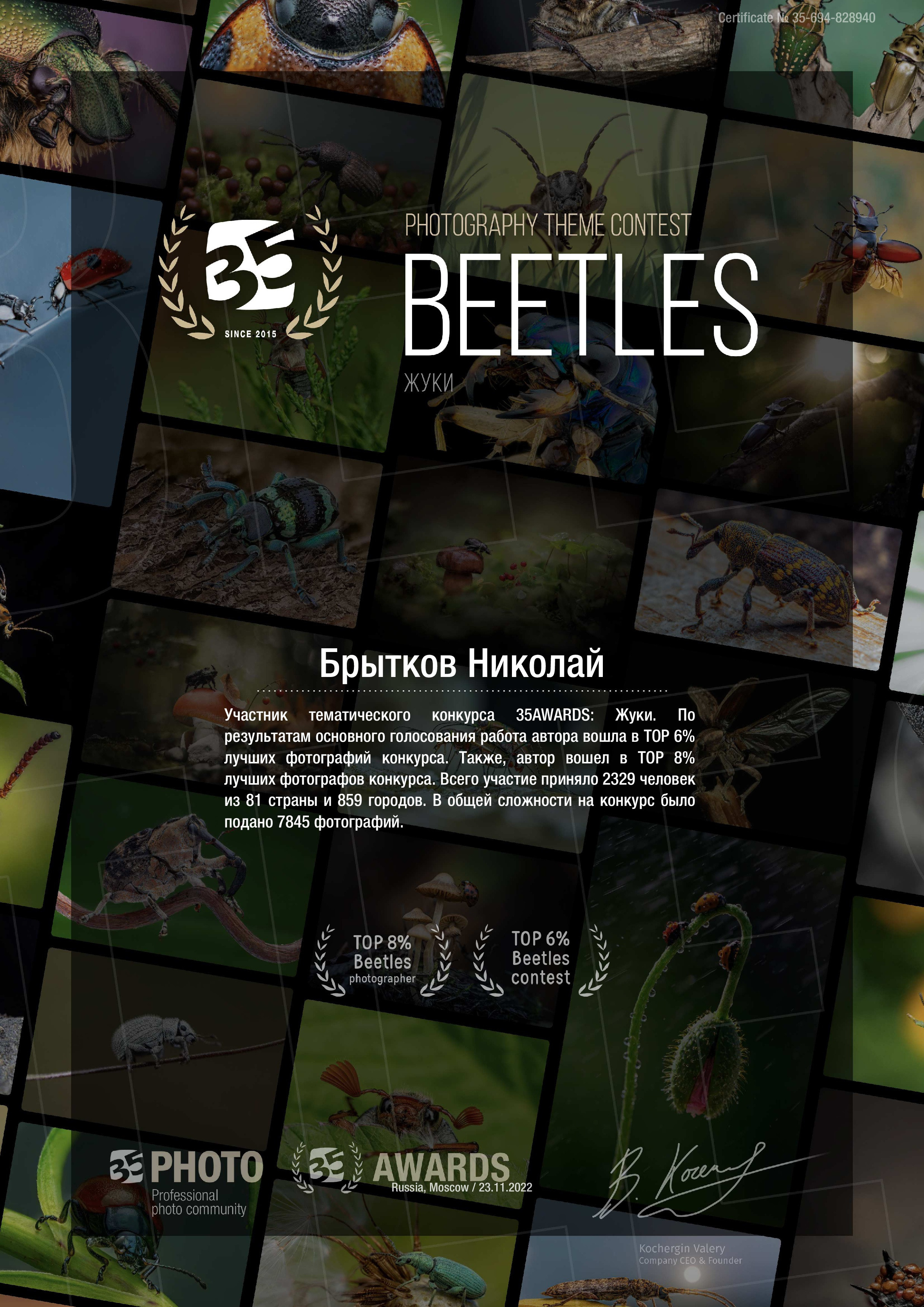 Достижения. Николай Брытков — фотограф в Туле