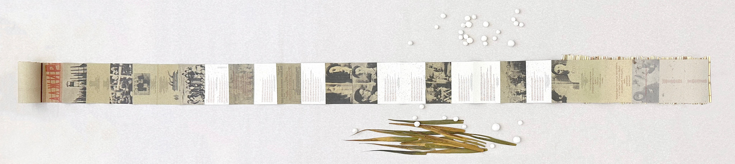 ALZhIR/Algeria (2024)