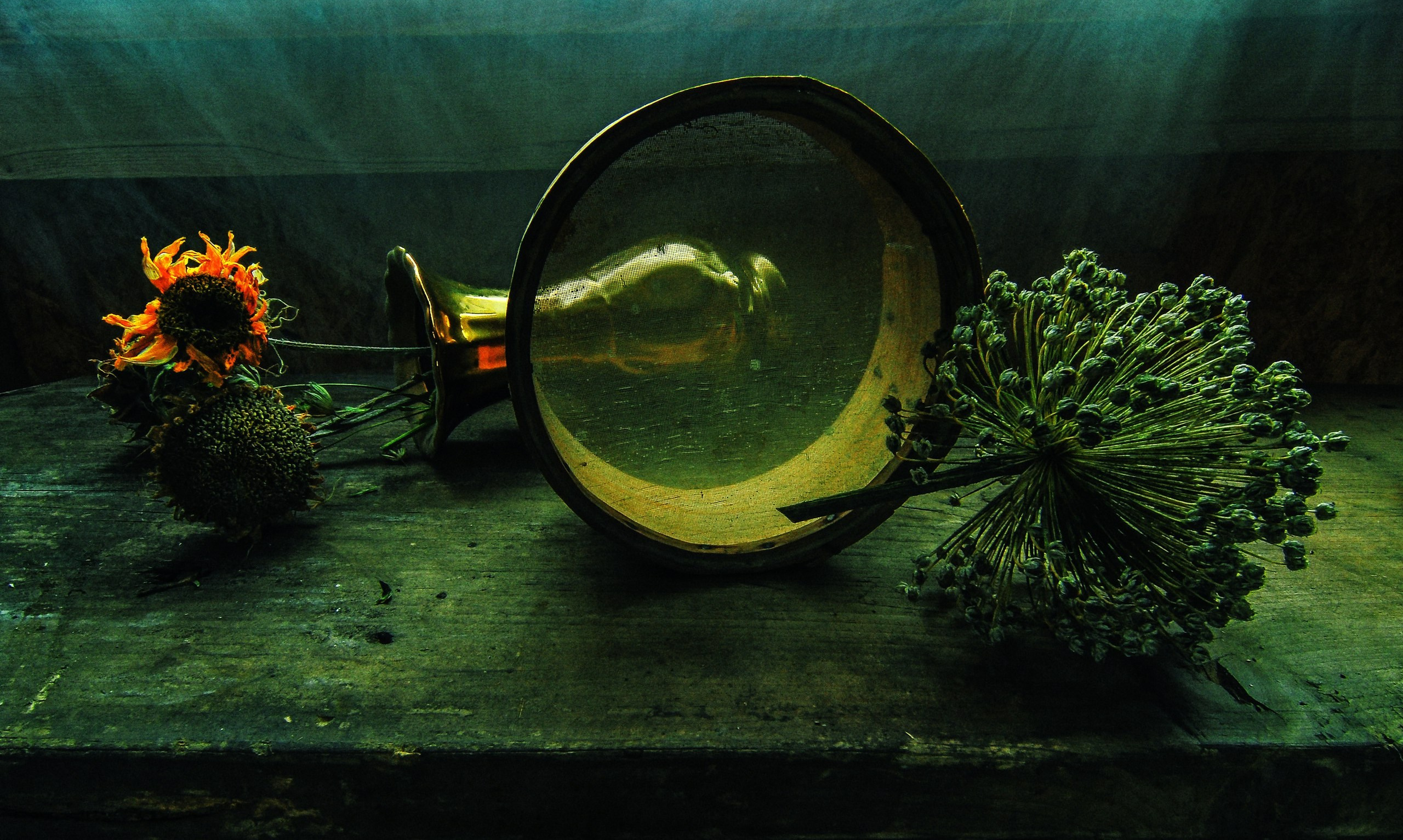 Новости. Музей истории фотографии в Санкт-Петербурге