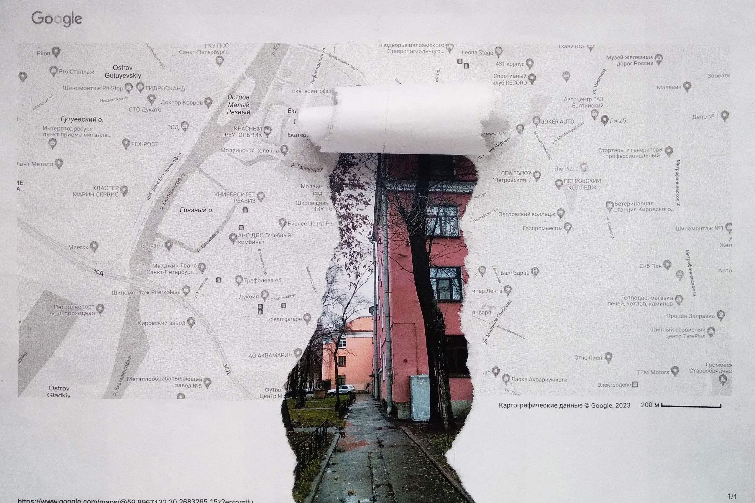 Проекты. Ирина Петрова. Современный художник