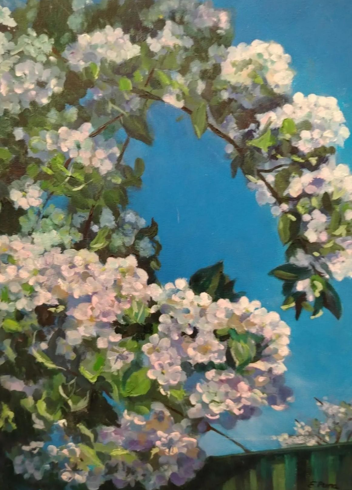 Пейзаж, река, лето, девочка
