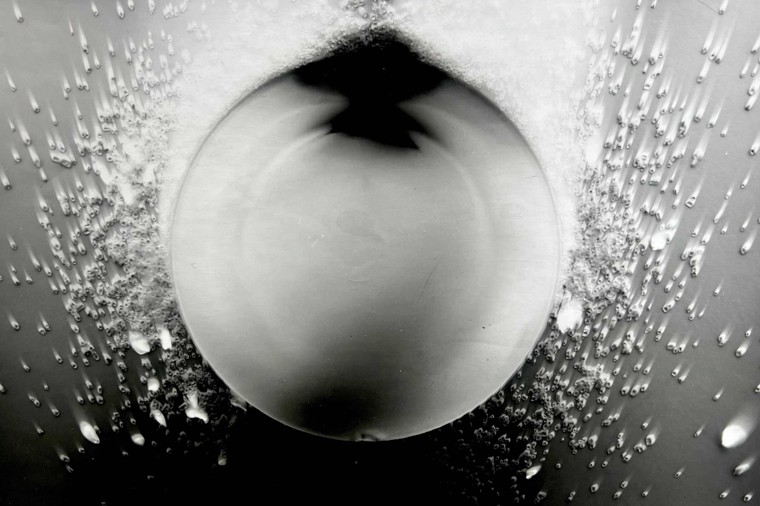 Круг жизни. Пылина Ирина — современная фотография