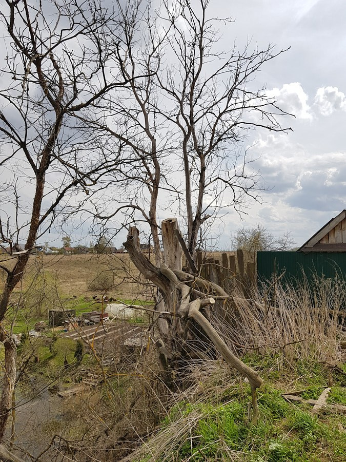 Как связаны пейзажная фотография и продажа недвижимости?. НЕЙРО-АРТы Воеводова