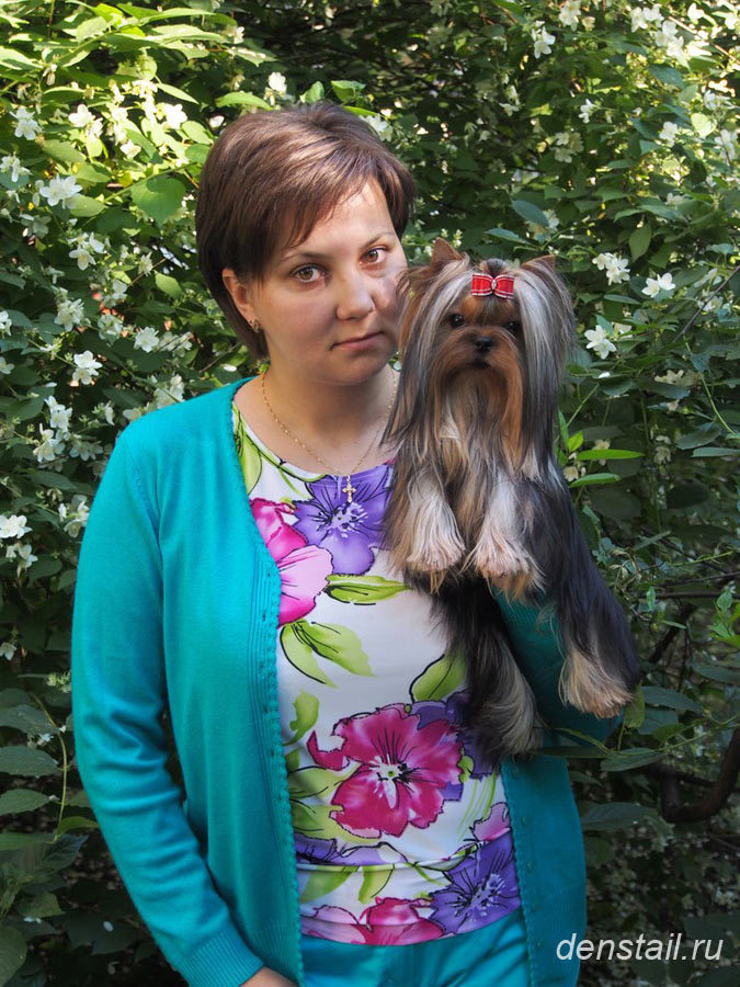 2014 г Результаты выставок. Питомник Йоркширских терьеров Дэнстайл в Санкт-Петербурге заводчик Тих