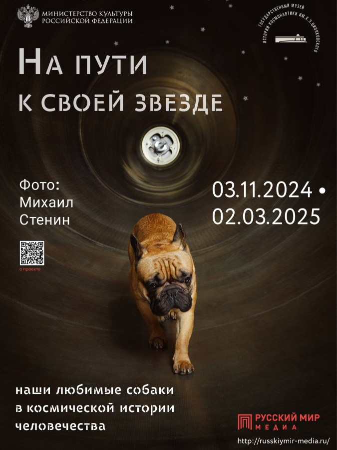 Мы в СМИ. Фотограф Михаил Стенин