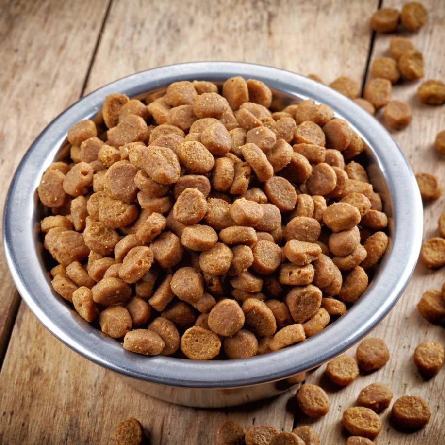 Услуги. Кане Корсо Лайф, щенки породы Кане Корсо, г. Москва