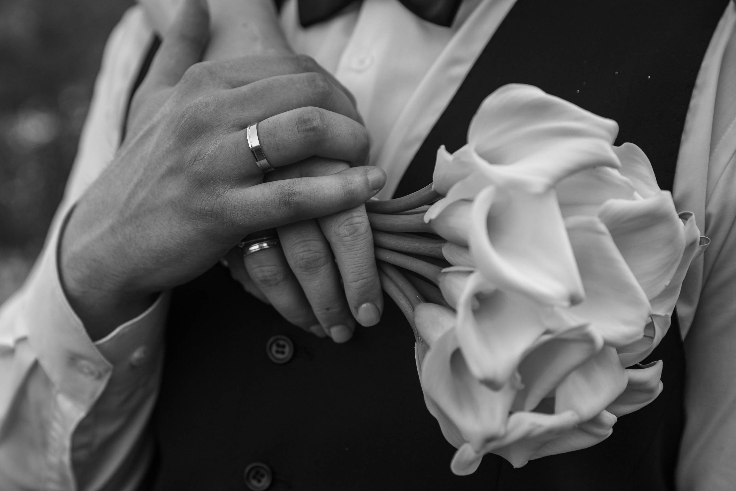 Акции на свадебную фотосессию. Свадебный фотограф Дмитрий Гладков