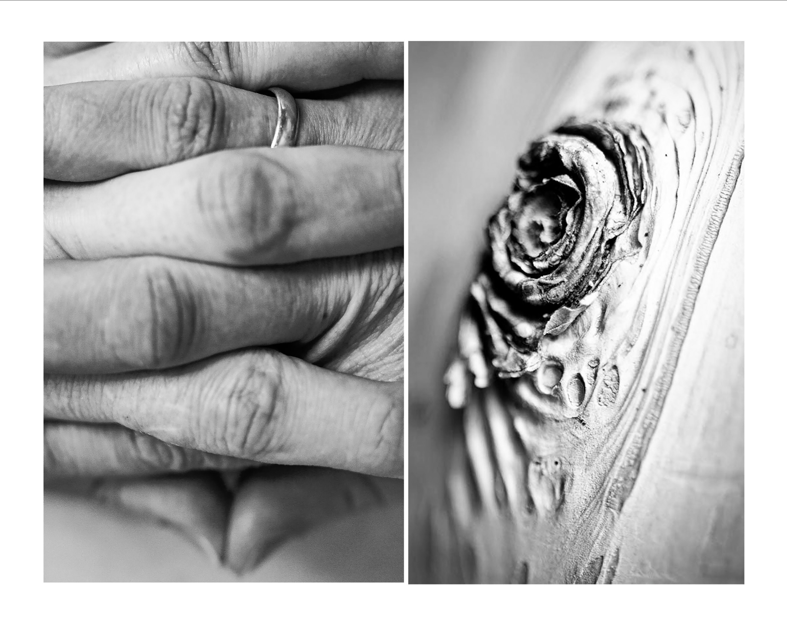 «Природа тела». Наталья Чернобровкина — междисциплинарный художник