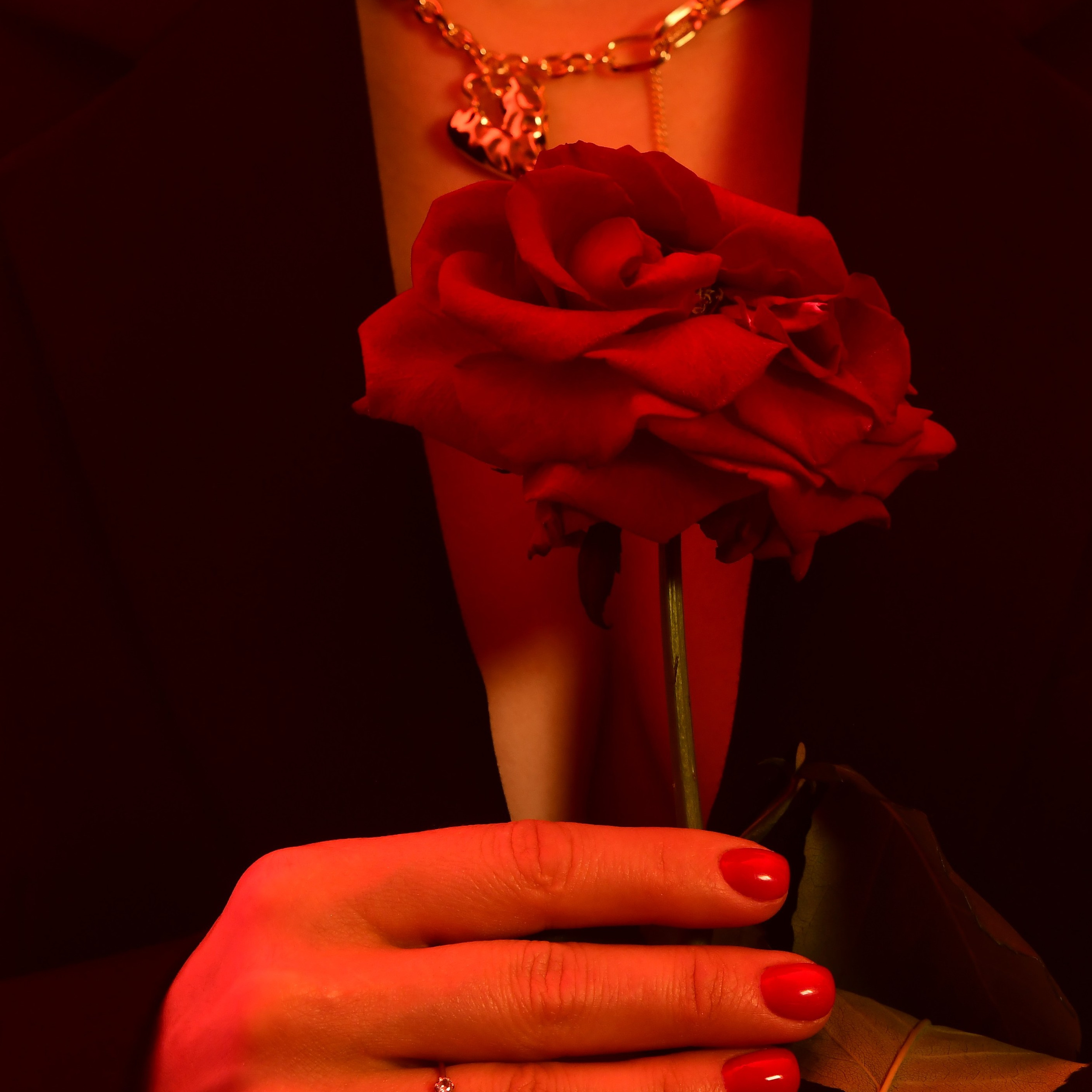 Услуги. Фотограф Брянск